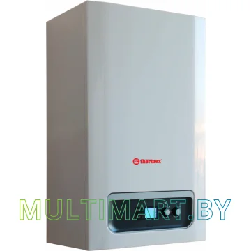 Отопительный котел Thermex Xantus HM24